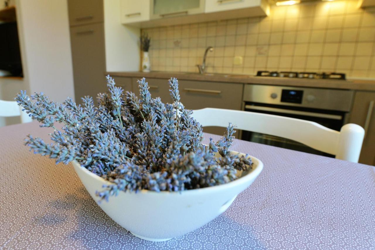 Slanica 穆泰尔岛 外观 照片