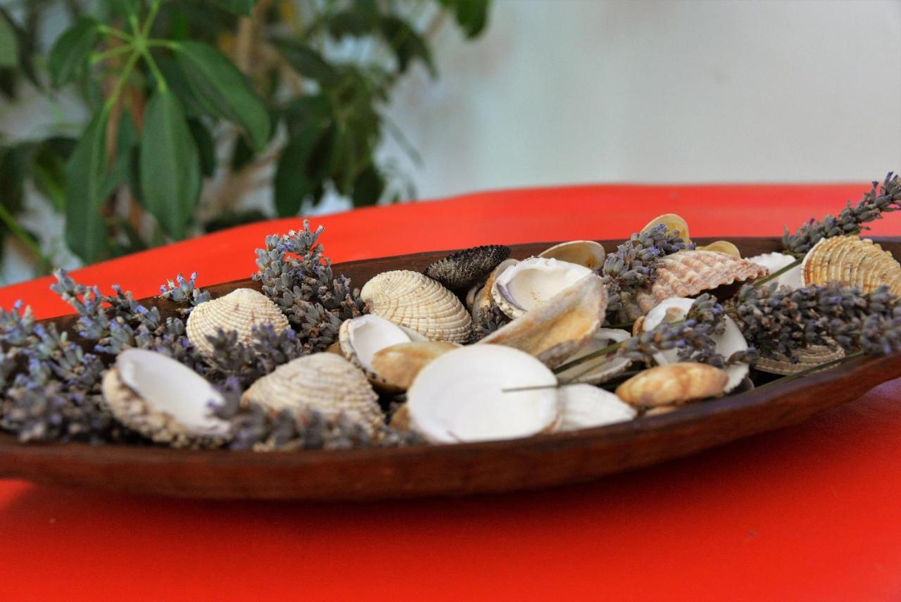 Slanica 穆泰尔岛 外观 照片